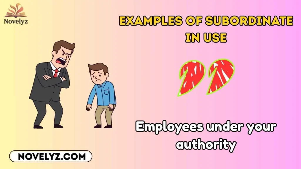 Examples of Subordinate in Use