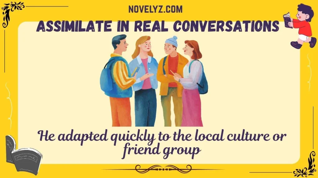 Assimilate in Real Conversations