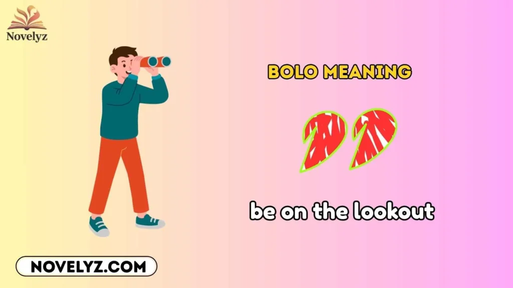 Bolo Meaning