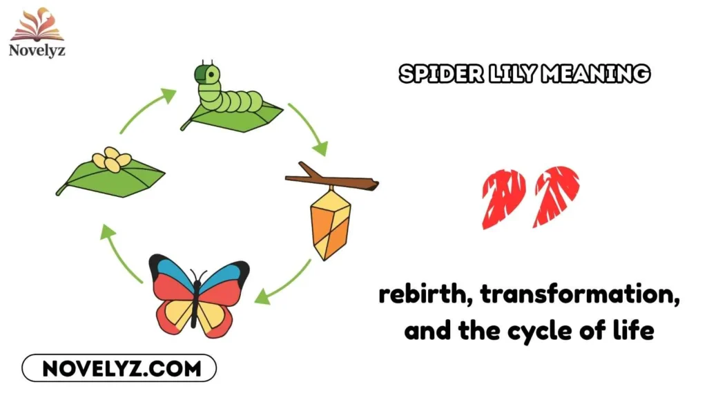 spider lily meaning