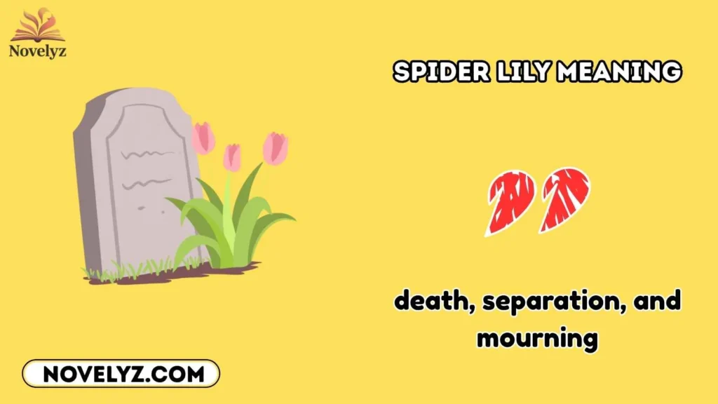 spider lily meaning