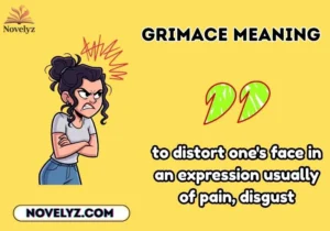 grimace meaning
