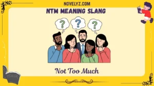 ntm meaning slang