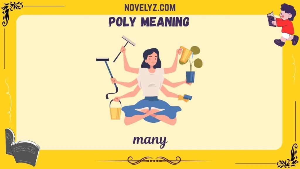 poly meaning