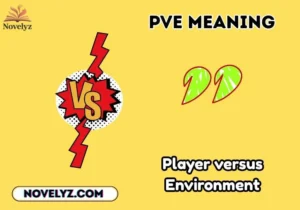 pve meaning