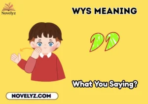 wys meaning