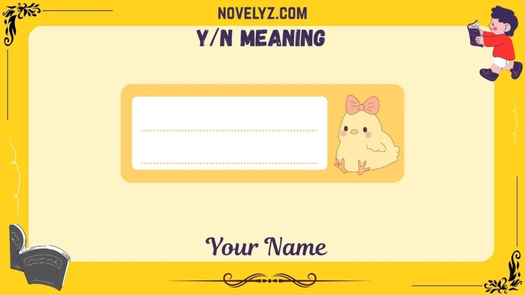 y/n meaning