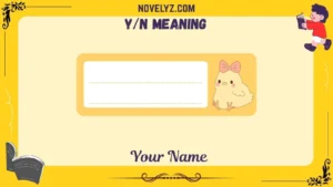 y/n meaning
