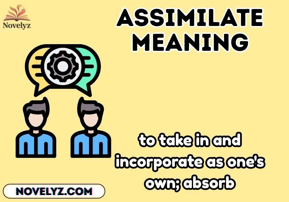 assimilate meaning