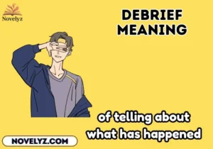 debrief meaning