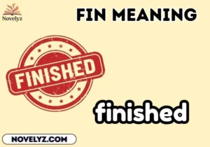 fin meaning