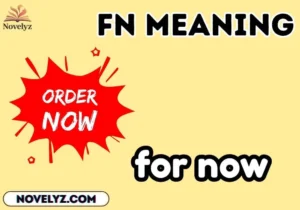 fn meaning