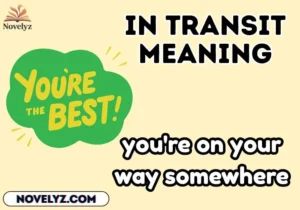 in transit meaning