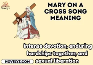 mary on a cross song meaning