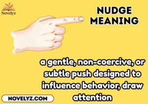 nudge meaning