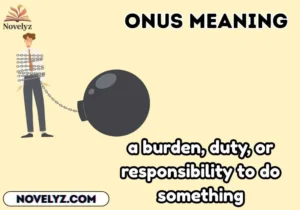 onus meaning