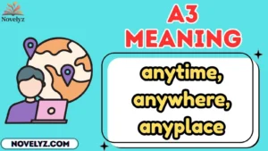 a3 meaning