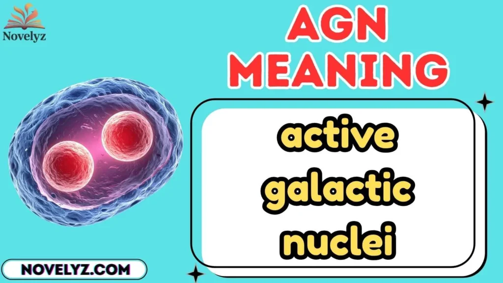 agn meaning