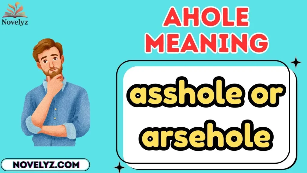 ahole meaning