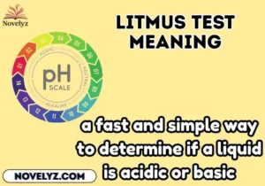 litmus test meaning