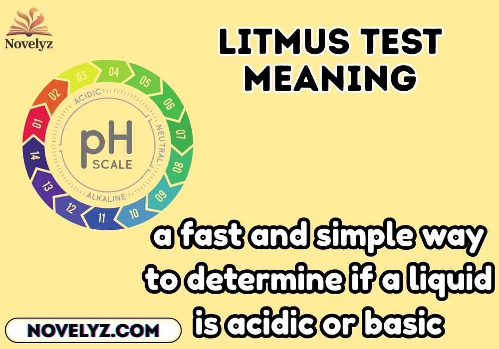 litmus test meaning