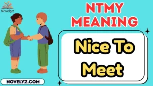 ntmy meaning